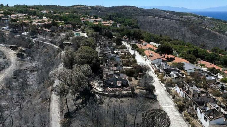 687b3ffed13a6e6d2d96c843 Ormanların yandığı alanlarda yeni tehlike: Bunu önlemek zorundayız
