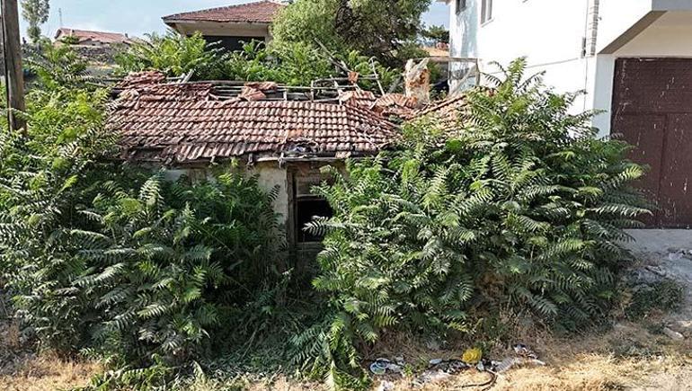 687b4910d13a6e6d2d96c89a Bir şehir bunu konuşuyor: Keloğlan’ın memleketi Çankırı mı? Tuz Mağarası’ndaki eşek gündem oldu