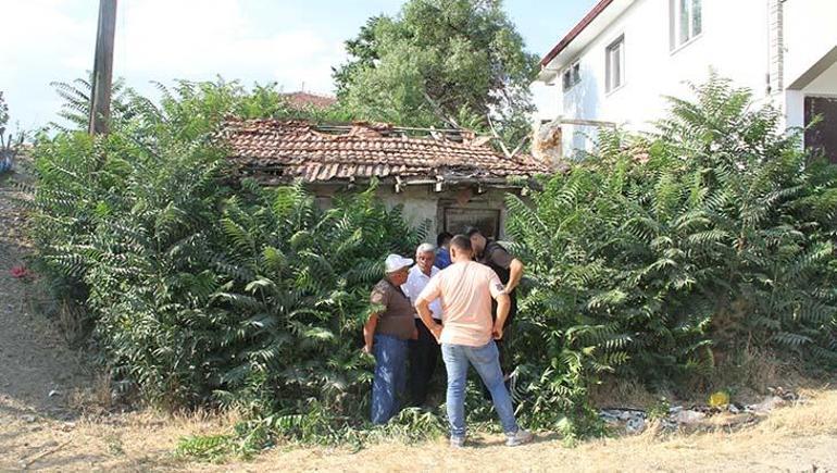687b495ad13a6e6d2d96c89e Bir şehir bunu konuşuyor: Keloğlan’ın memleketi Çankırı mı? Tuz Mağarası’ndaki eşek gündem oldu