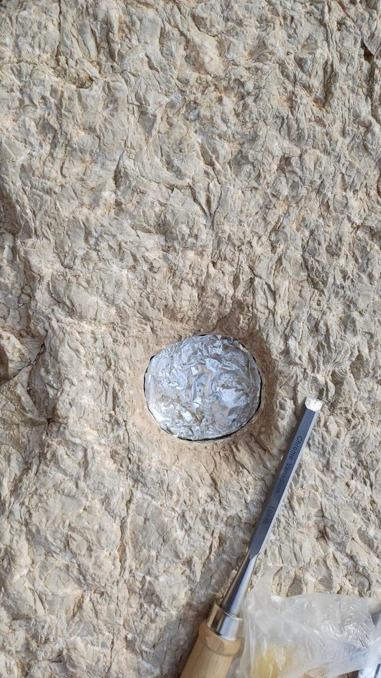 687b6347d13a6e6d2d96c996 65 yıl sonra büyük dönüş! Roma İmparatoru Marcus Aurelius’un bronz heykeli Türkiye’de