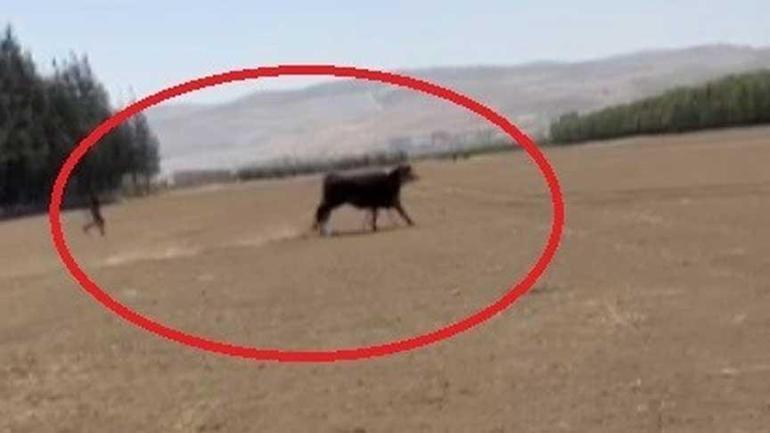 687f32a3407805e46c03c72d Bir kent diken üstünde! 1 aydır aranıyorlar: ‘Gören olursa hemen kaçsın’