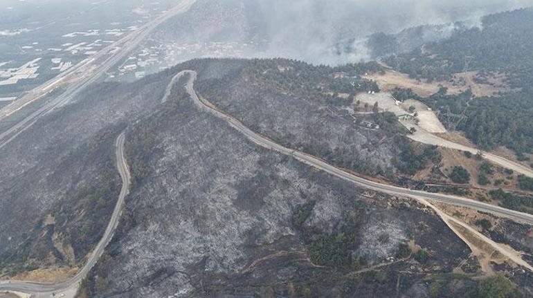 Bin civarında kamu, belediye ve gönüllülerin katıldığı gece boyunca söndürme çalışmalarının ardından alevler bastırıldı. Söndürülen ormandan geriye ise tüten görüntü ve griye dönüşmüş çam ağaçları kaldı.