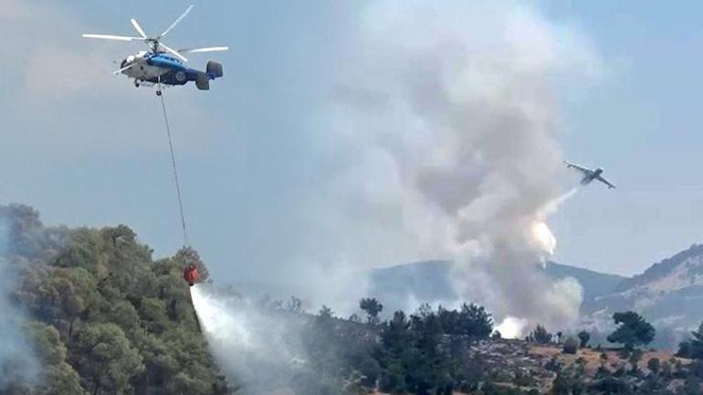 El proceso que conduce a los incendios forestales no es nadie más que el pino: el avión va y viene, abre un carril