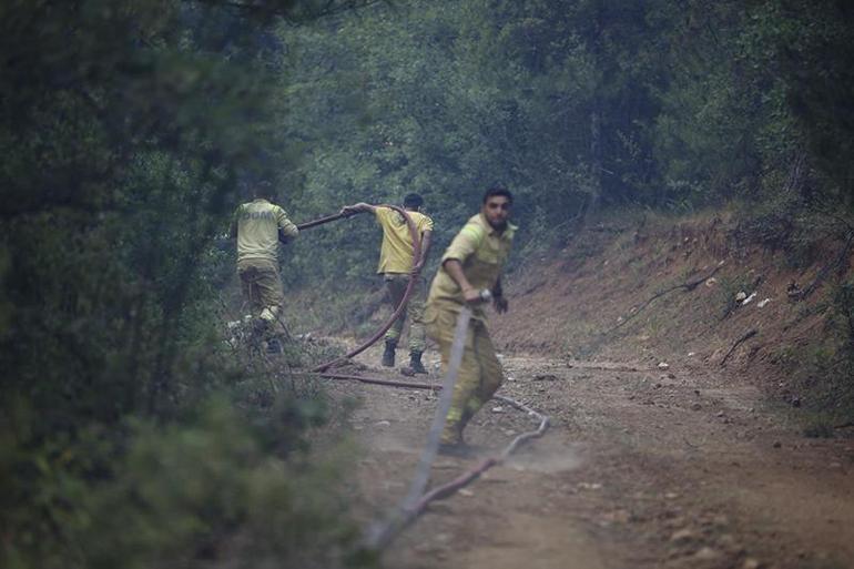 El proceso que conduce a los incendios forestales no es nadie más que el pino: el avión va y viene, abre un carril