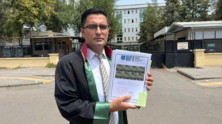 688a14b6a24008c540a88ee6 Son Dakika Narin Güran Haberleri: Büyük ve küçük gölge detayı katil ile ilgili yeni ipucu