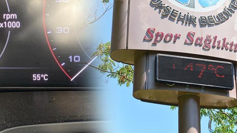 Usaron sus teléfonos móviles en agua enfriando: vemos alucinación desde el calor