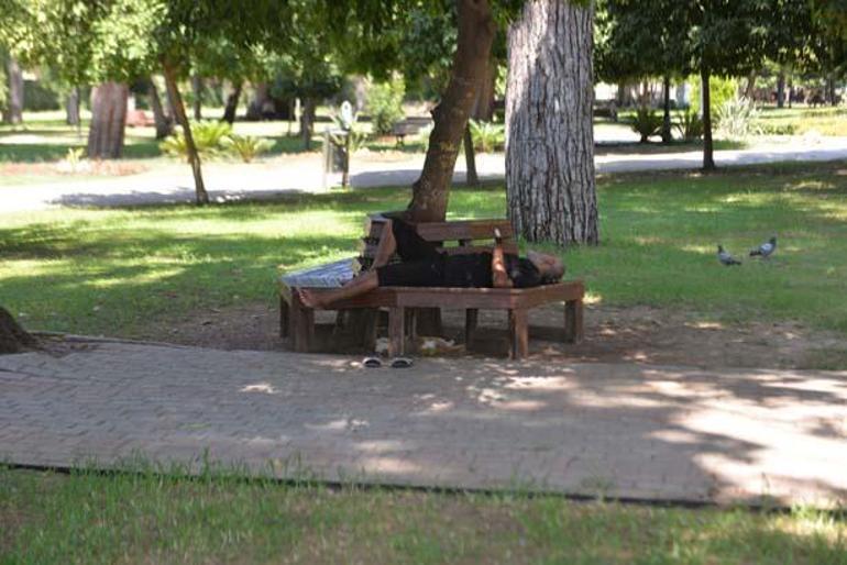 Usaron sus teléfonos móviles en agua enfriando: vemos alucinación desde el calor