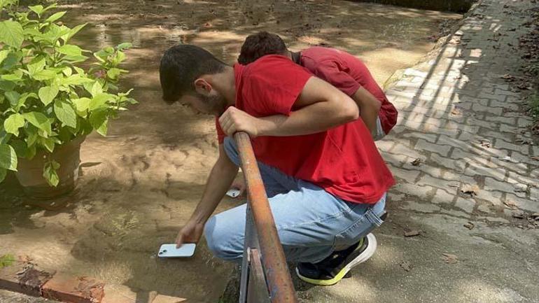 Usaron sus teléfonos móviles en agua enfriando: vemos alucinación desde el calor