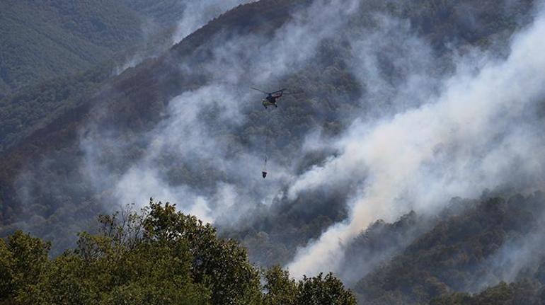 Kocaelide orman yangını 2nci gün: Karadan ve havadan müdahalesi sürüyor