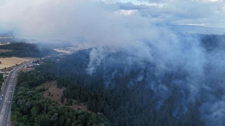 Boludaki orman yangını kontrol altına alındı