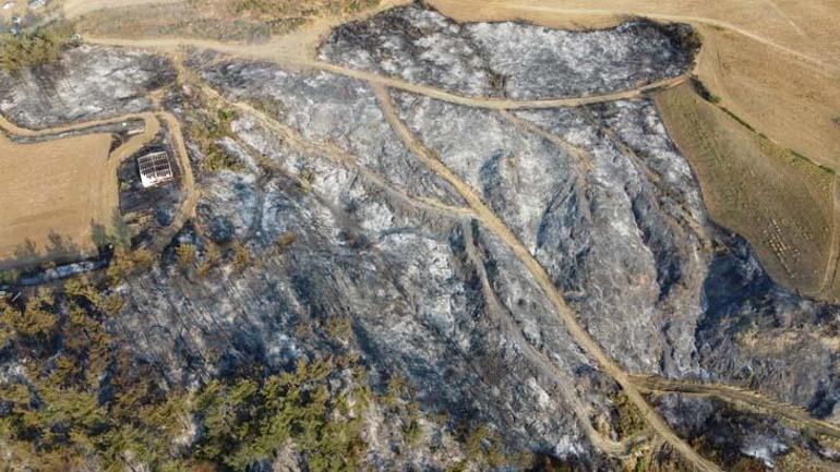 Burning areas in Çanakkale were seen. Two villages were evacuated.