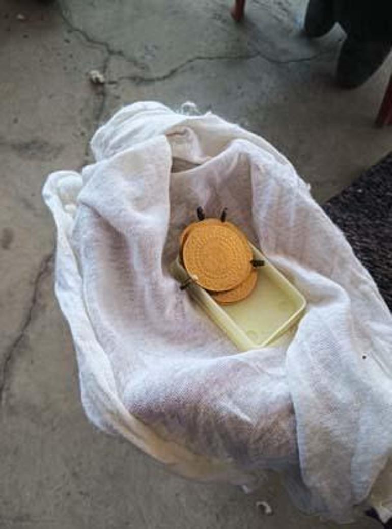 Eski yastıktan çıkan büyük sürpriz Kılıfı açtı, gözlerine inanamadı