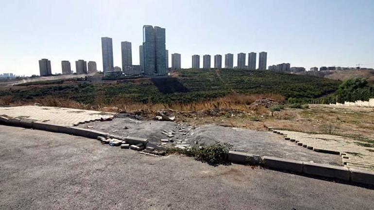 İstanbulda sınırları zorlayan hırsızlık Kaldırımı taşlarını söküp çaldılar