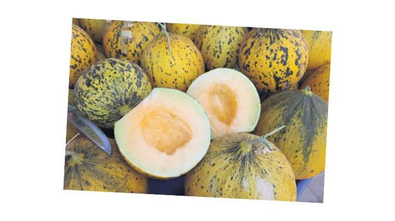 ‘Yerel ürünleri tanıtmak önceliğimiz’