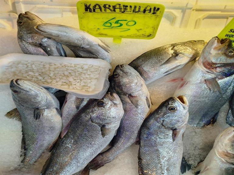 Şifalı olduğuna inanılıyor Balık 650, başındaki taş 10 bin TL