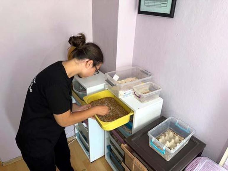 Evinde öyle bir iş kurdu ki paraya para demiyor: Taleplere yetişemiyorum