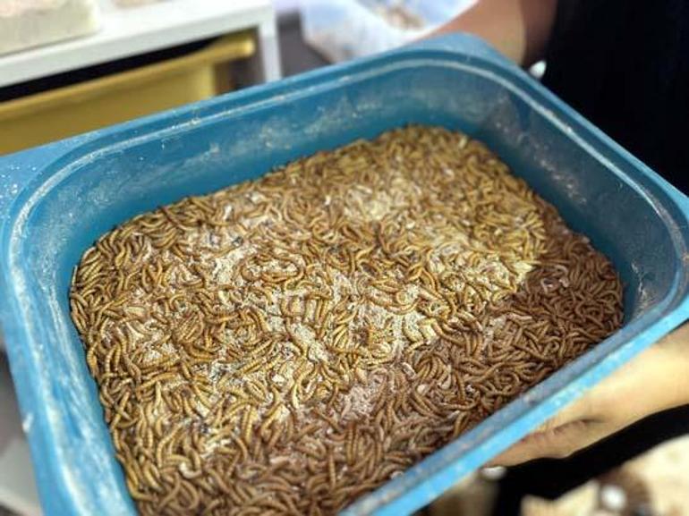 Evinde öyle bir iş kurdu ki paraya para demiyor: Taleplere yetişemiyorum