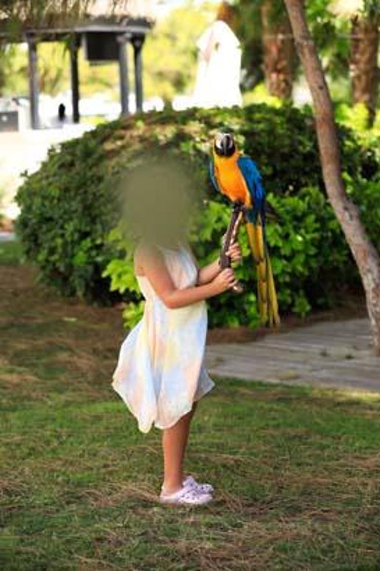 Papağanlarla fotoğraf çektirmek yasaklandı