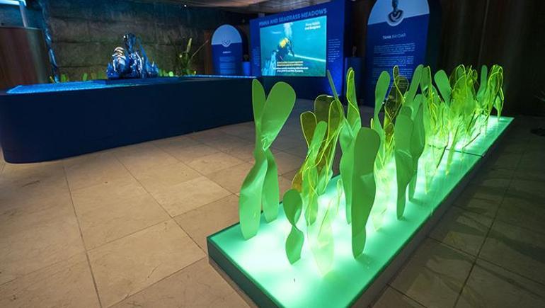 Emine Erdoğan: Çevre için attığımız adımlar insanlığın refahına katkı sunuyor