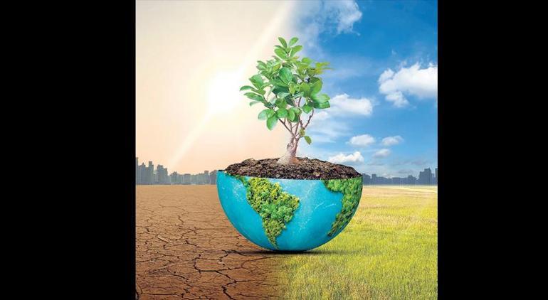 Reçete açık: Daha çok ağaç daha çok yeşil