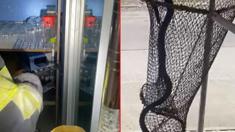 Evde büyük panik Metrelerce uzunluktaki yılan dolaba girdi