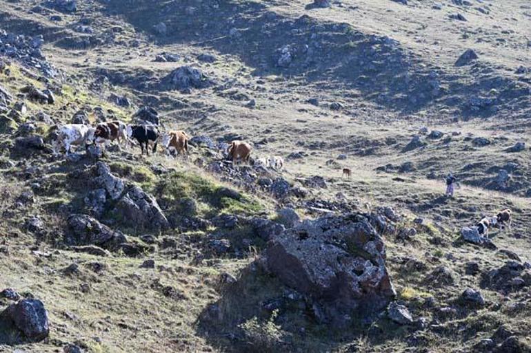 Traktörün giremediği köyde bir aile destanı Tüfekçi Ailesinin başarısı ilham oldu