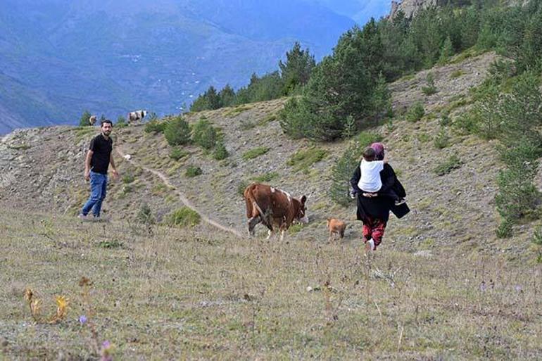 Traktörün giremediği köyde bir aile destanı Tüfekçi Ailesinin başarısı ilham oldu