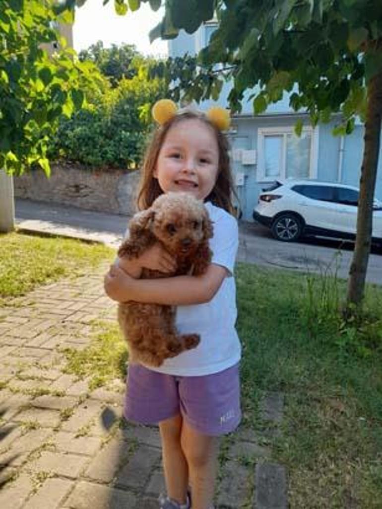 Minik Berra öldü, baba isyan etti: Makine mühendisinden doktor oluyorsa tıp fakültesine gerek yok
