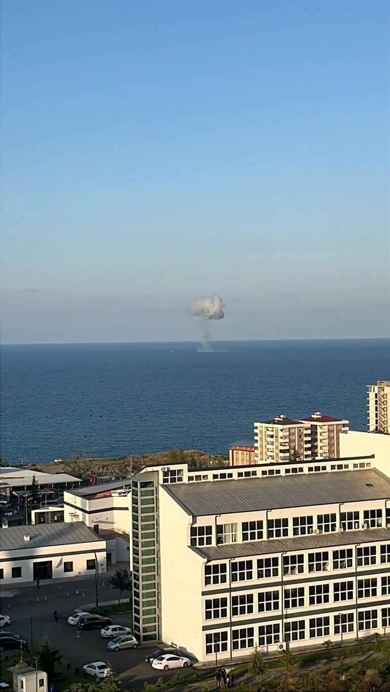 Karadenizde bir haftada ikinci kez görüldü Vali: Yaklaşmayın, dokunmayın