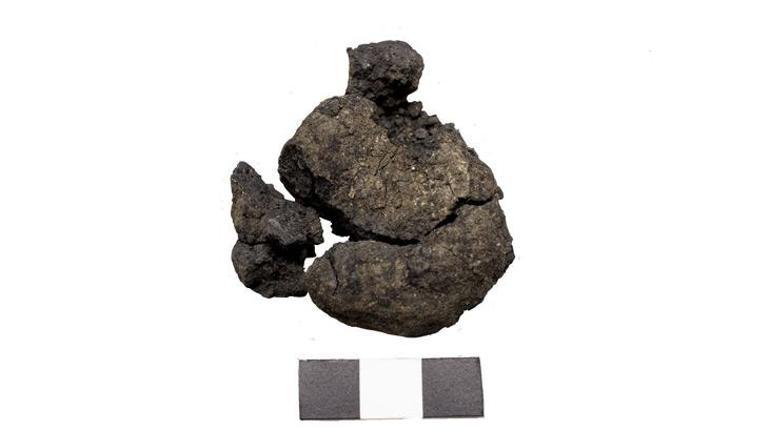 Tavşanlı’da 4000 yıllık nohut, Çatalhöyük’te 8600 yıllık ekmek kalıntıları