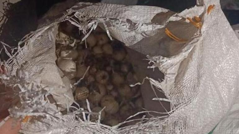Tunceli’de Dağ Sarımsağı kaçakçılarına 557 bin TL idari para cezası