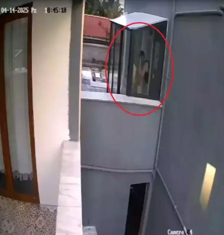 Sahiplendiği köpekleri istismar edip öldürmekle suçlanan doktorun cezası belli oldu