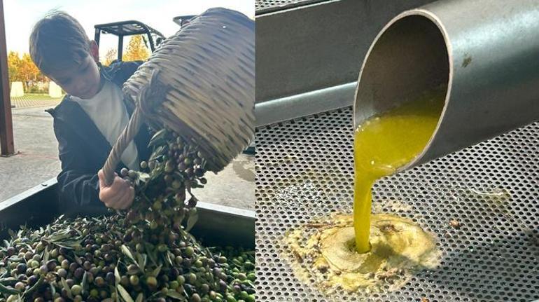 Zeytinyağı başkentinde Hasat ve Turizm Festivali