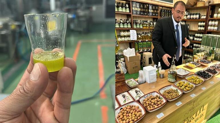 Zeytinyağı başkentinde Hasat ve Turizm Festivali
