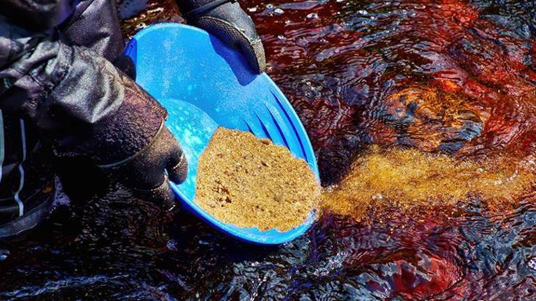 Türkiye’den çıkan yılda 40 ton! Tası alan nehirde yakalıyor: 'Altın çağ henüz başlamadı' 2 Türkiye’den çıkan yılda 40 ton Tası alan nehirde yakalıyor: Altın çağı başlamadı