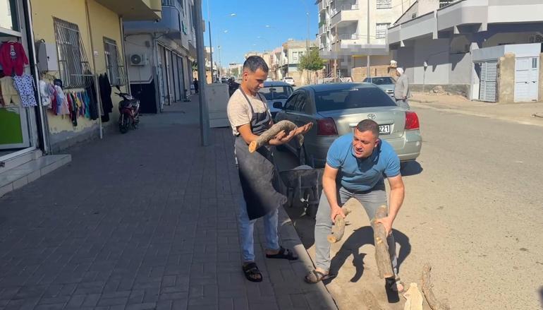 69071f63f673ab5ac366eb2e Şanlıurfalı Hamza ehliyet için sağlık raporu almaya gitti hayatının şokunu yaşadı