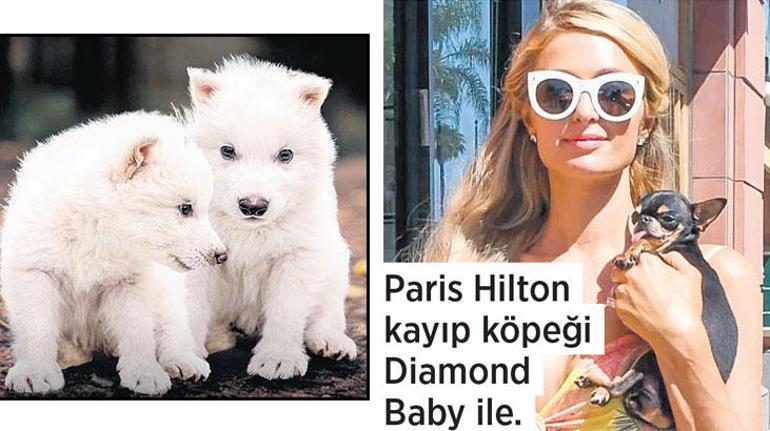 690bc6f8b825a93f9900f458 Ölüm acısına ‘klon’ tesellisi