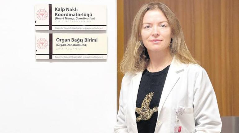 Bir ‘evet’ birden fazla hayat demek