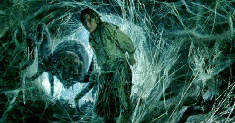 Binlerce örümceğin bu mağarada ne işi var Yemek kavgası yok: Aynı ağda yaşıyorlar