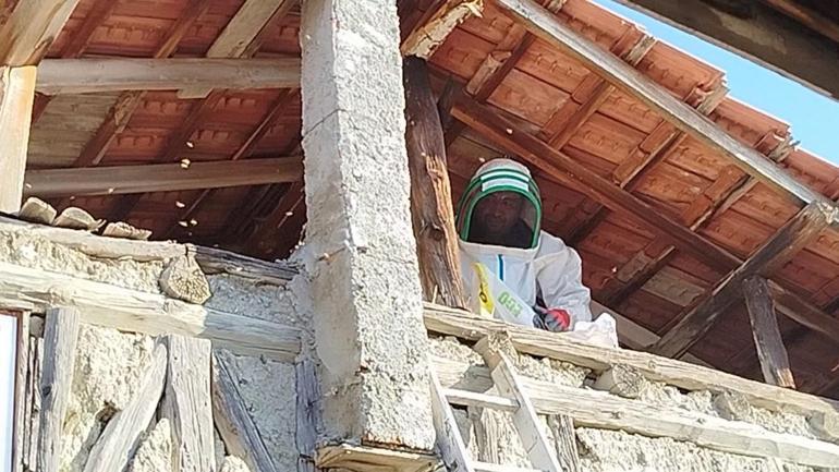 691197be3b681ccda5138b6e Yer: Çorum! Çatısına yuva yapan eşek arılarının soktuğu kadın hastanelik oldu