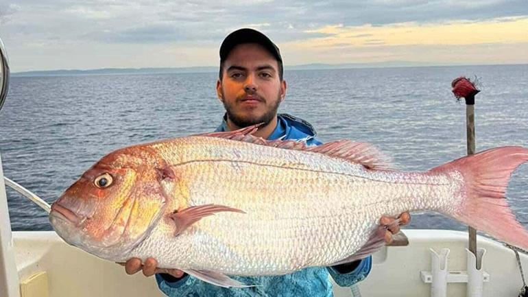 Yer: Tekirdağ Sahiline vuran gizemli deniz canlısı şaşkınlık yarattı