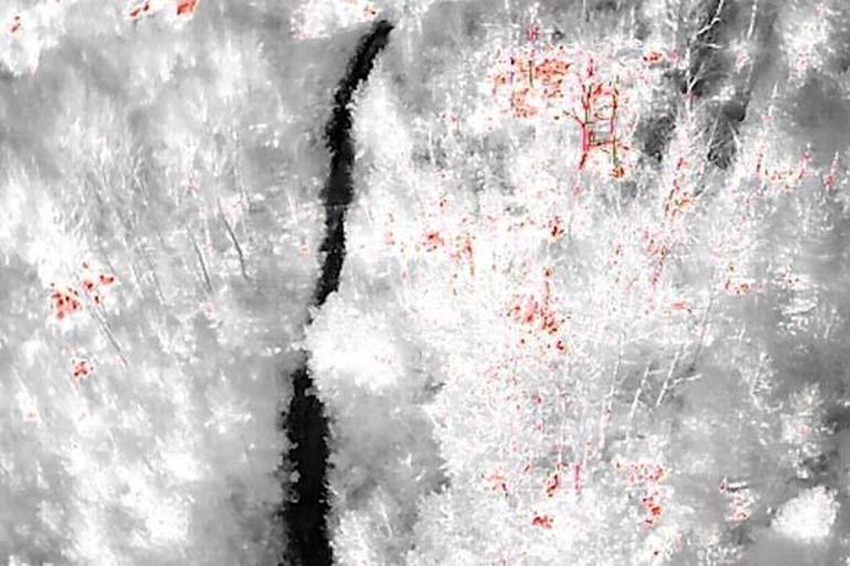 Son dakika... Kastamonudaki gizemli ölümde son perde Cinayet dedektifi: Bana göre anne final yaptı