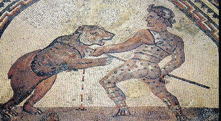 Ayı oynatıcısı mı yoksa memur mu