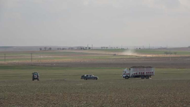 Obruk kabusu Konyadan sonra bir kenti daha yutmaya başladı: Daha fazla yaşayacağız