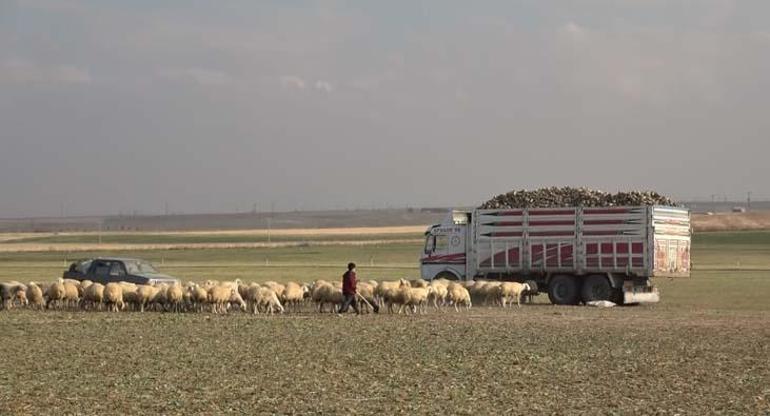 Obruk kabusu Konyadan sonra bir kenti daha yutmaya başladı: Daha fazla yaşayacağız