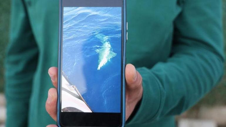 Amatör balıkçı şoke oldu Dev canavar oltaya takılıp yüzeye çıktı: ‘Bu kadar büyüğünü görmedik’