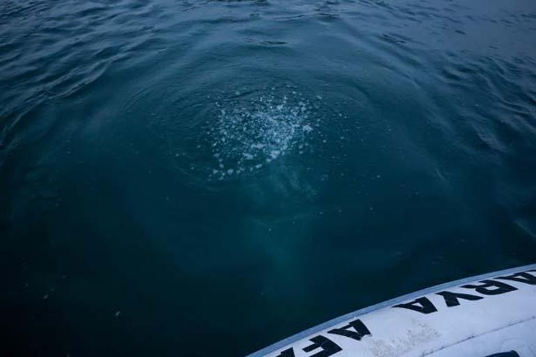 Sapanca Gölünde neler oluyor Panik yaratan hareketliliğe açıklama geldi