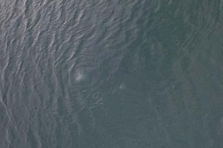 Sapanca Gölünde neler oluyor Panik yaratan hareketliliğe açıklama geldi