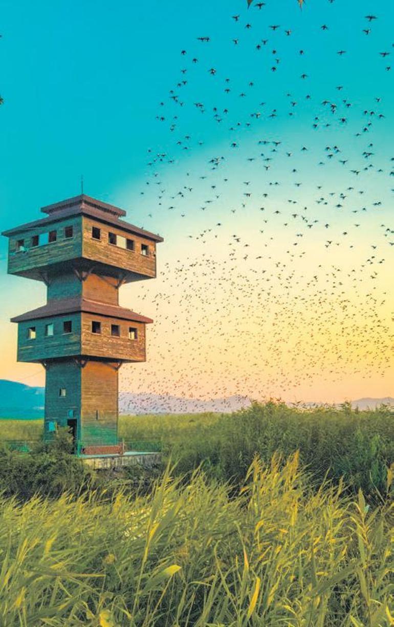 Cepteki hikayeler dünyayı geziyor