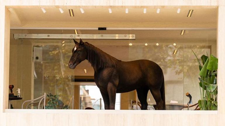 Bu “kahve” çok konuşulur Espressolab’ın animatronik kahvesi